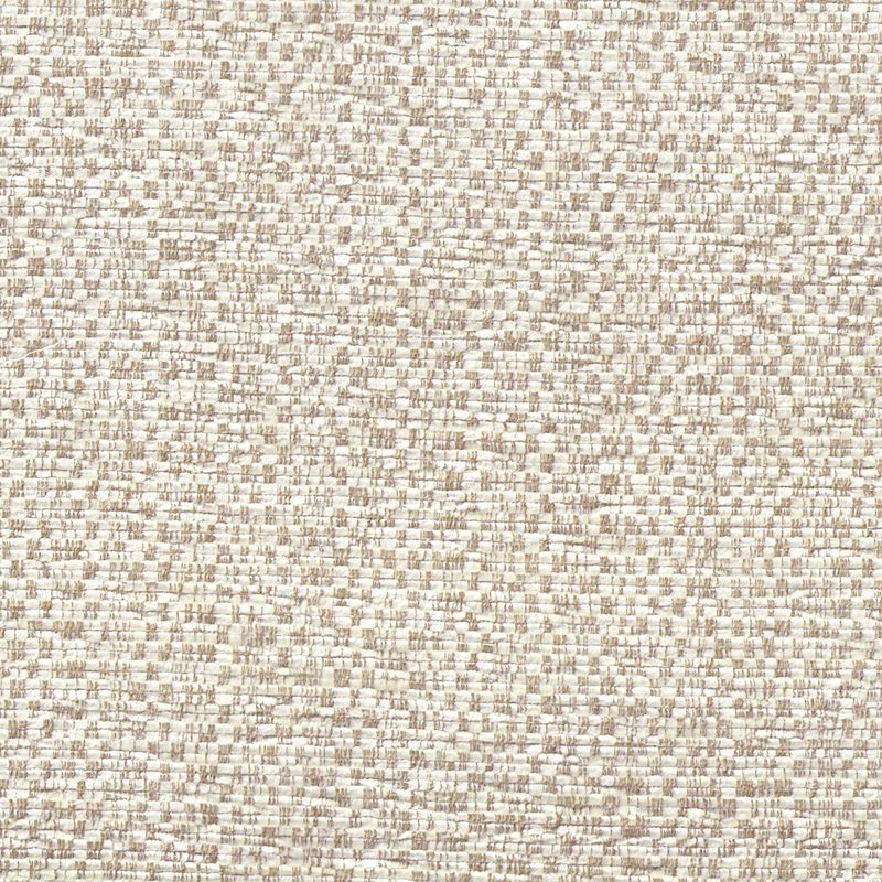 Oyster — chenille by Cristina Marrone