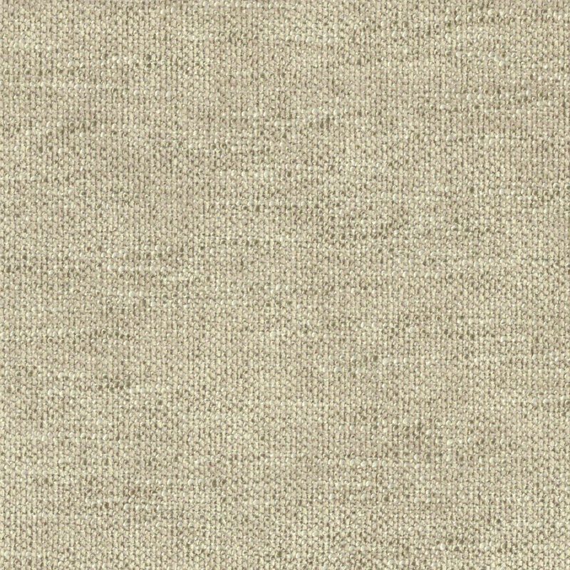 Abalone — chenille by Cristina Marrone