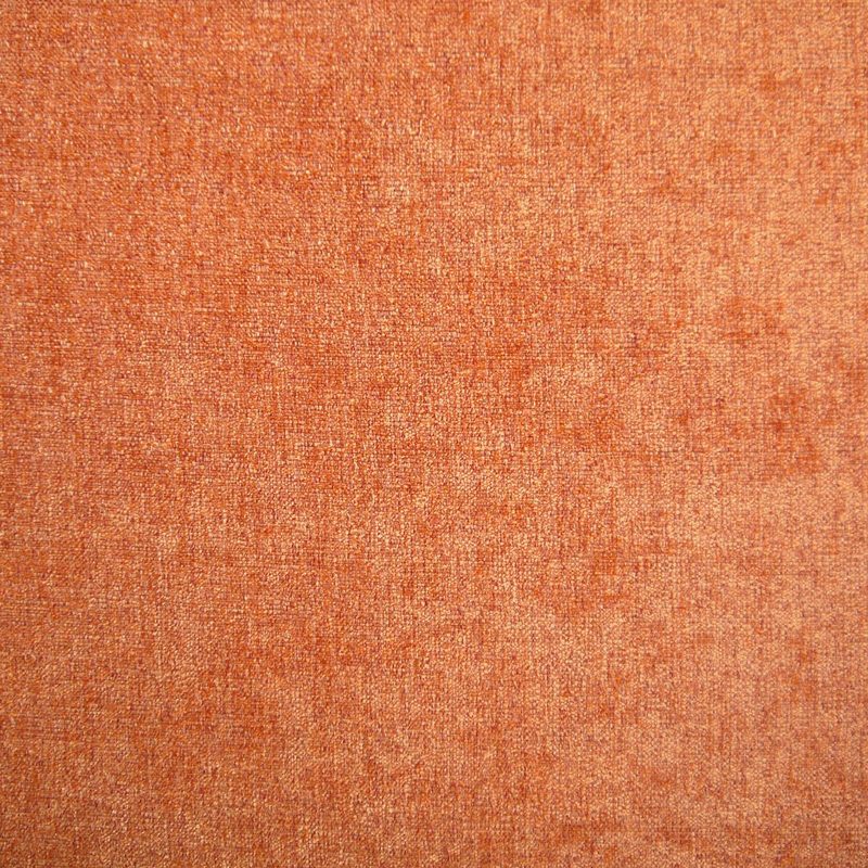 Apricot — velvet by Cristina Marrone