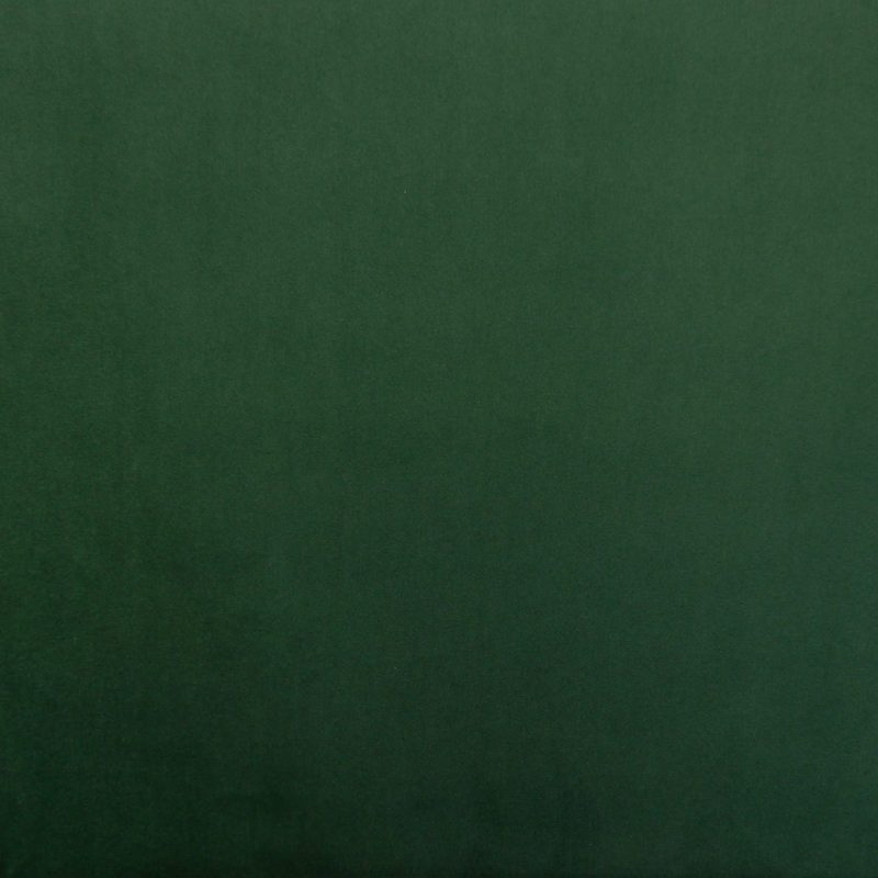 Bottle Green — velvet by Cristina Marrone