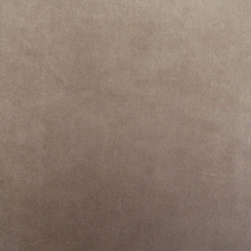 Cedar — velvet by Cristina Marrone