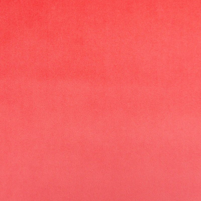 Coral — velvet by Cristina Marrone