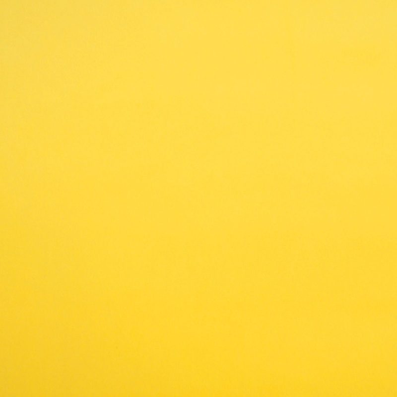 Lemon — velvet by Cristina Marrone