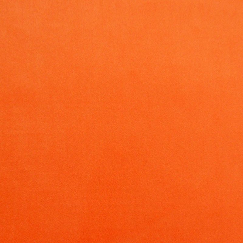 Pumpkin — velvet by Cristina Marrone
