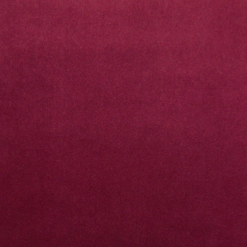 Shiraz — velvet by Cristina Marrone