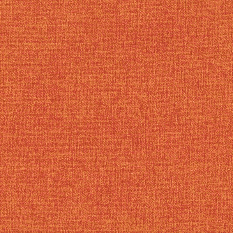 Orange — chenille by Cristina Marrone