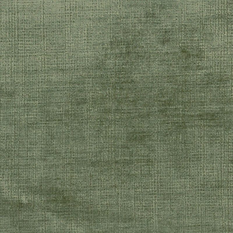 Pickle — velvet by Cristina Marrone