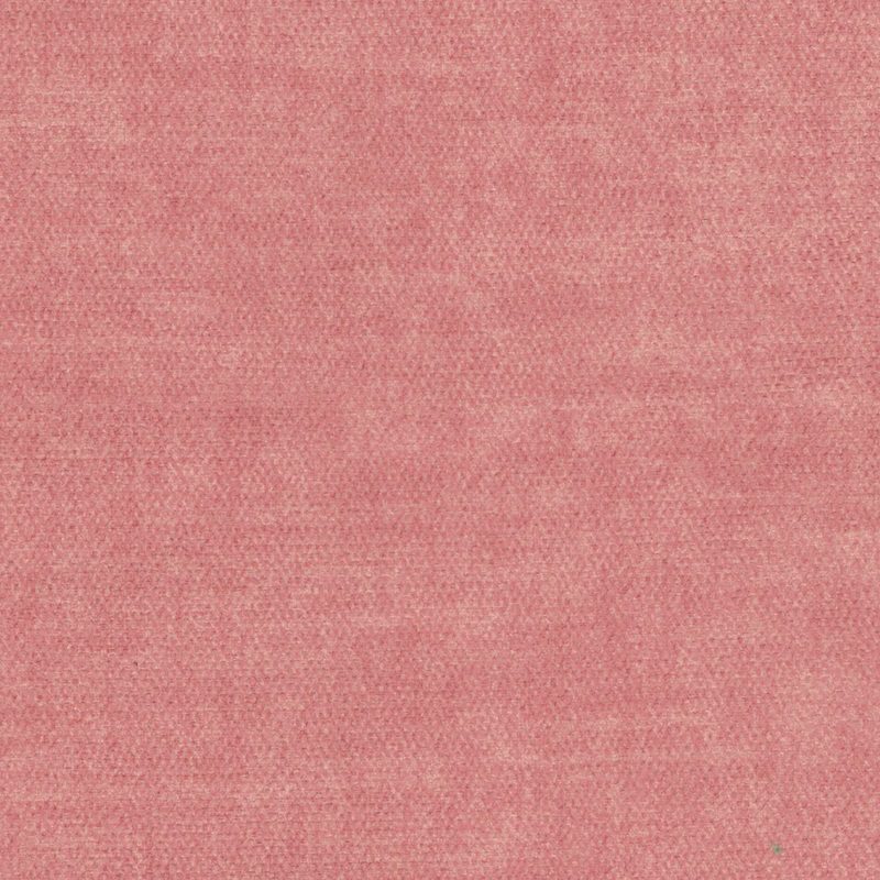 Rose — jacquard by Cristina Marrone