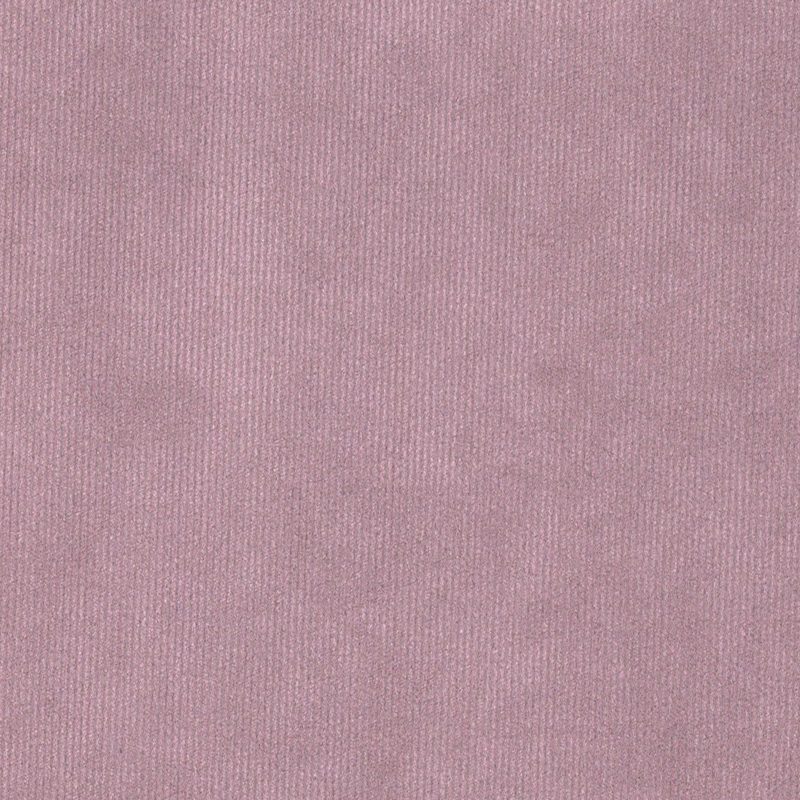 Orchid — velvet by Cristina Marrone