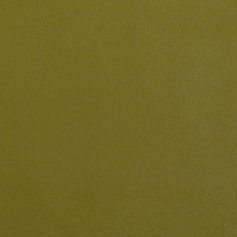 Willow — velvet by Cristina Marrone
