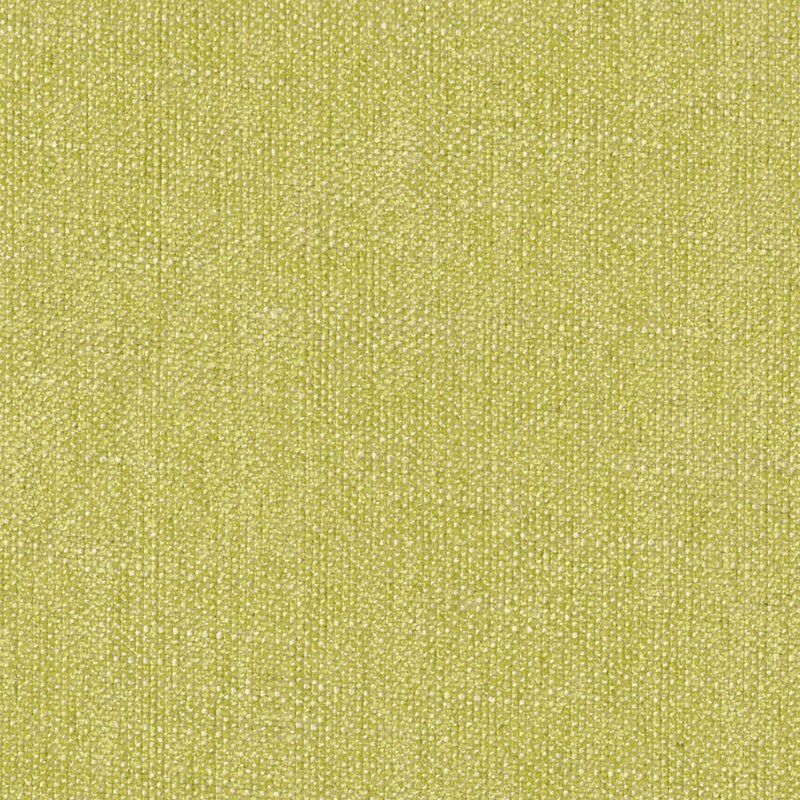 Lime — chenille by Cristina Marrone