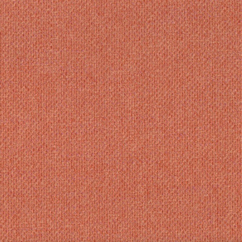 Coral — chenille by Cristina Marrone