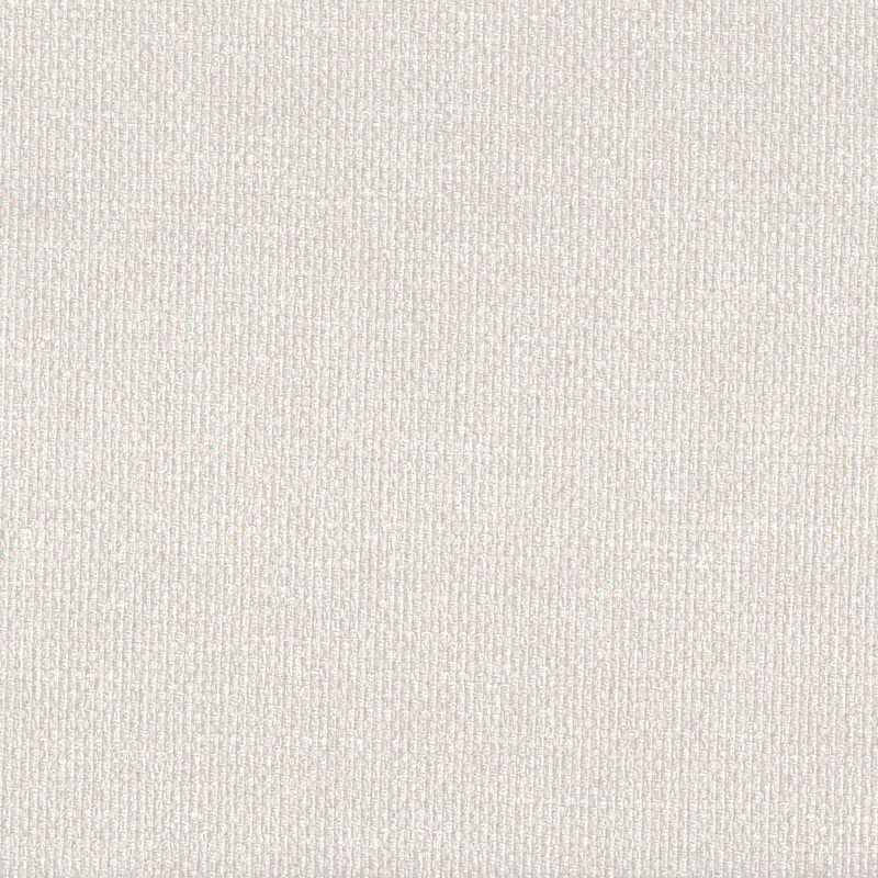 Ivory — chenille by Cristina Marrone