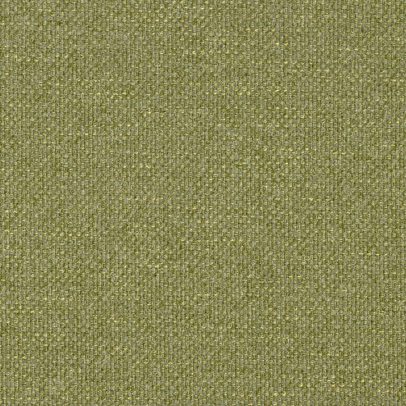 Lichen — chenille by Cristina Marrone
