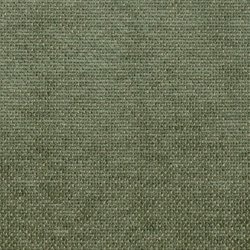 Gecko — chenille by Cristina Marrone