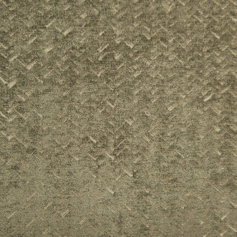 Mole — chenille by Cristina Marrone