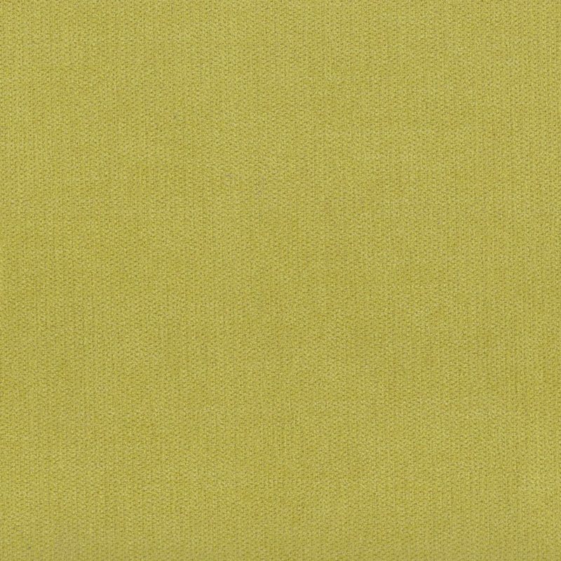 Citrus — chenille by Cristina Marrone