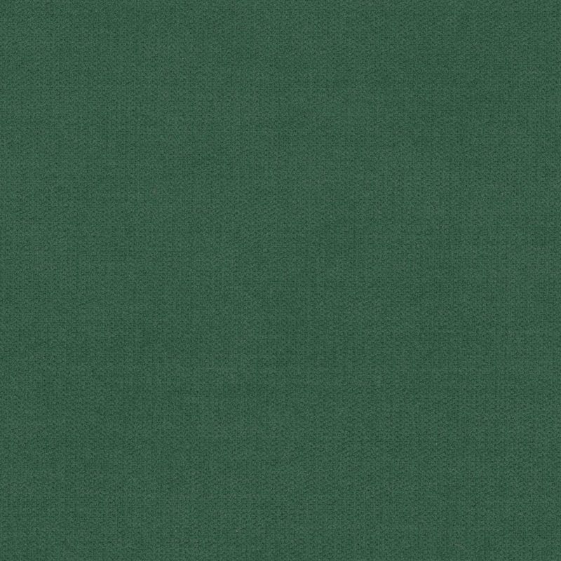 Forest — chenille by Cristina Marrone