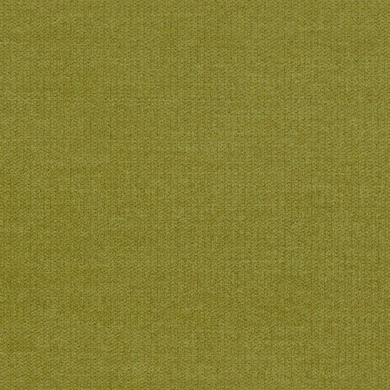 Moss — chenille by Cristina Marrone