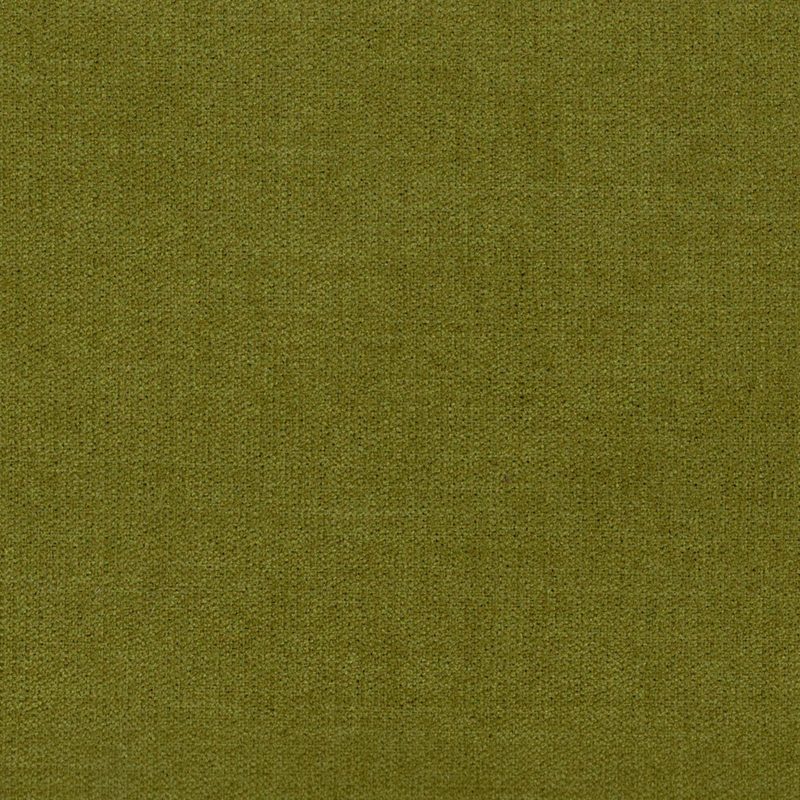 Olive — chenille by Cristina Marrone