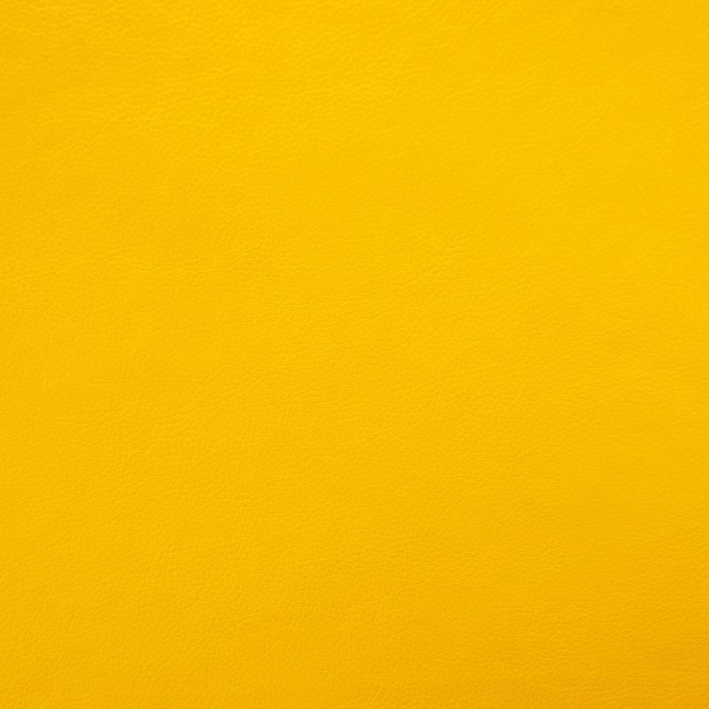 Citrus — faux-leather by Cristina Marrone