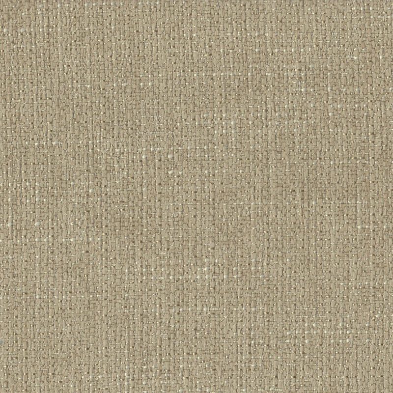 Champagne — jacquard by Cristina Marrone