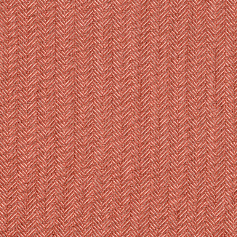 Coral — chenille by Cristina Marrone