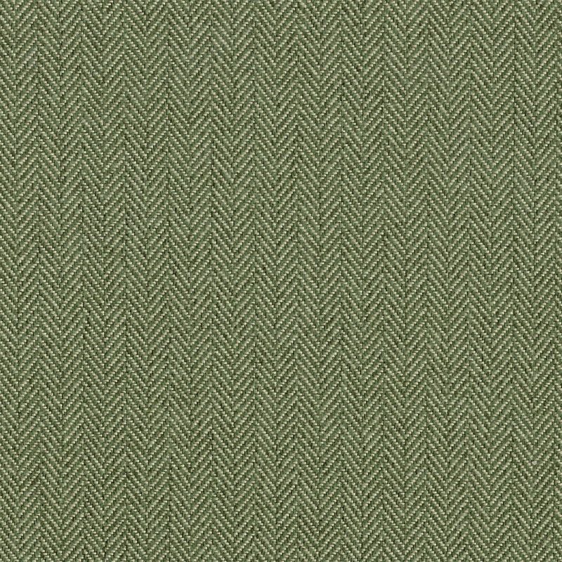 Fern — chenille by Cristina Marrone