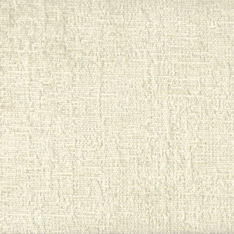 Oyster — velvet by Cristina Marrone