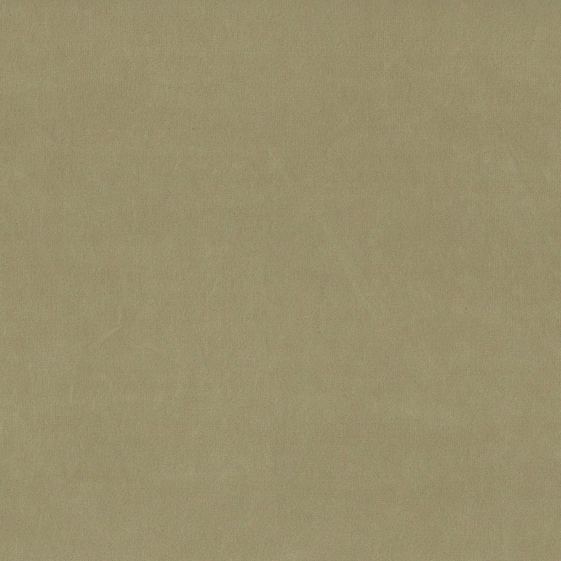 Doeskin — velvet by Cristina Marrone