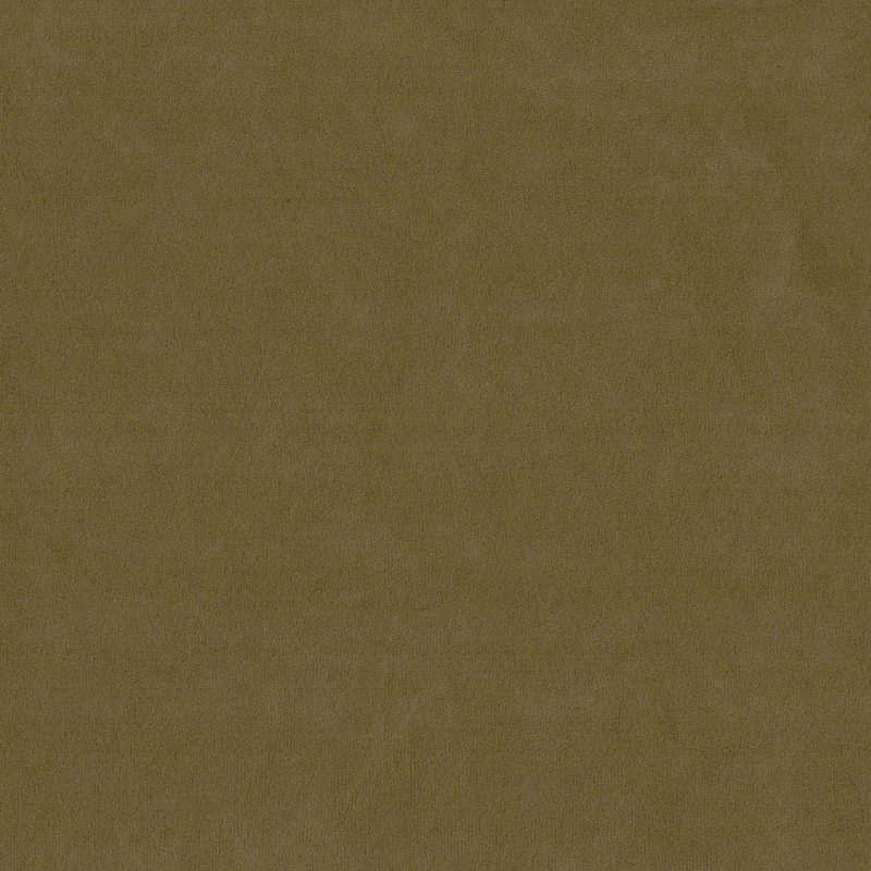 Teak — velvet by Cristina Marrone
