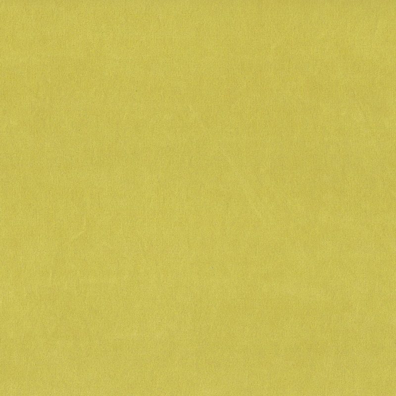 Turmeric — velvet by Cristina Marrone