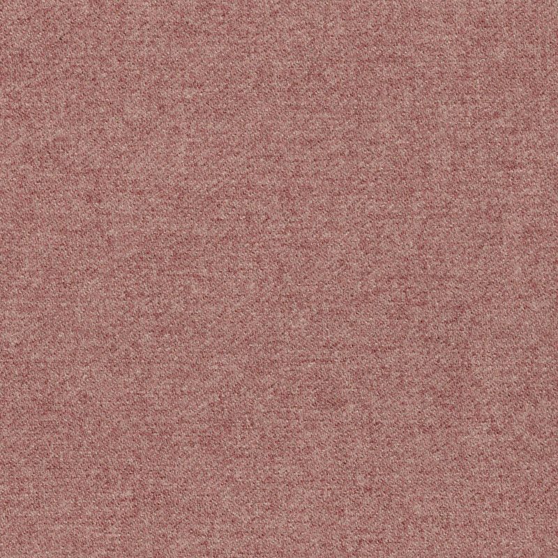 Dusty — wool by Cristina Marrone