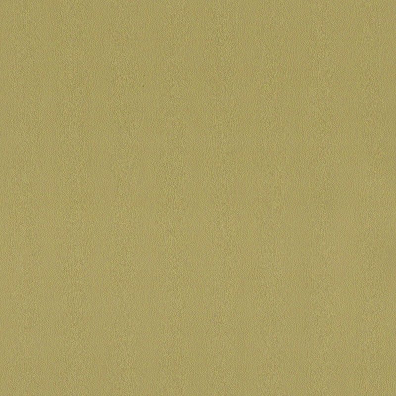 Kiwi — faux-leather by Cristina Marrone